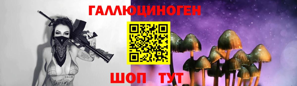 Псилоцибиновые грибы Psilocybe Еманжелинск
